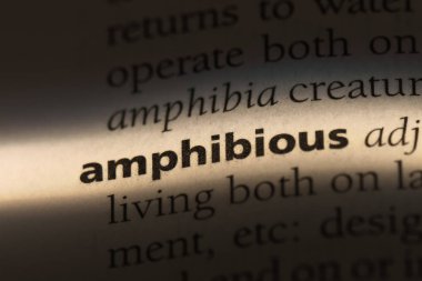 amfibi tek kelimeyle bir sözlük. amfibi kavramı.