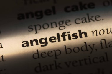 Melek Balığı Çiklit Word'de bir sözlük. Melek Balığı Çiklit kavramı.