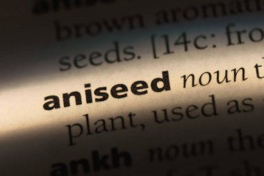 anason Word'de bir sözlük. anason kavramı.