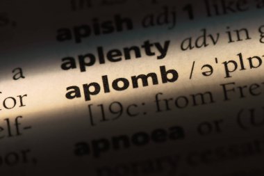 bir sözlüğü'ndeki aplomb sözcüğü. aplomb kavramı.