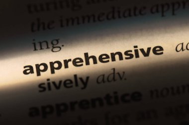 bir sözlüğü'ndeki endişeli sözcüğü. endişeli kavramı.