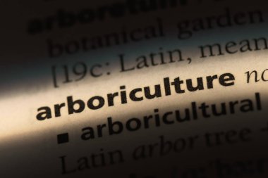 bir sözlüğü'ndeki Fidancılık sözcüğü. Fidancılık kavramı.