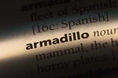 Armadillo Word'de bir sözlük. Armadillo kavramı.