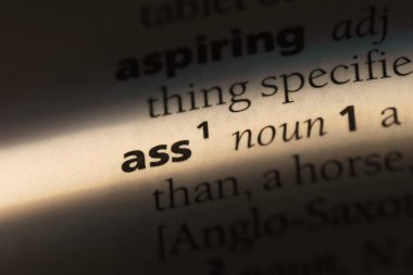 eşek Word'de bir sözlük. eşek kavramı.