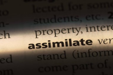 bir sözlüğü'ndeki sözcüğü özümsemek. kavramını özümsemek.