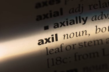 axil Word'de bir sözlük. axil kavramı.