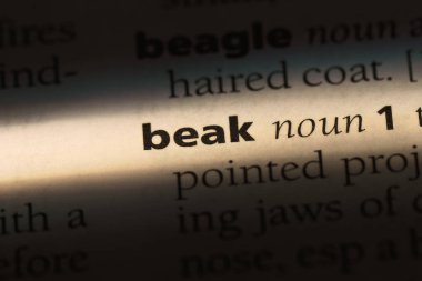 Gaga Word'de bir sözlük. Gaga kavramı.