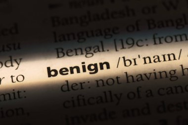 iyi huylu tek kelimeyle bir sözlük. iyi huylu kavramı.