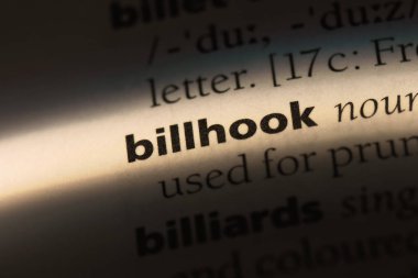 billhook sözcük sözlüğe. billhook kavramı.