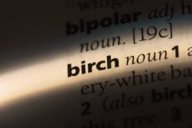 bir sözlüğü'ndeki sözcüğü huş ağacı. huş ağacı kavramı.