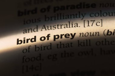 pray kelimenin Sözlükteki kuş. kuş dua kavramı.