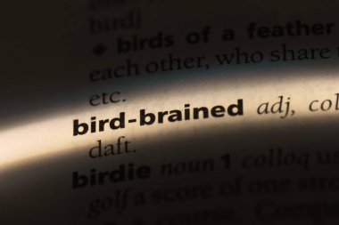 Bird-brained tek kelimeyle bir sözlük. Bird-brained kavramı.