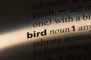 kuş Word'de bir sözlük. kuş kavramı.