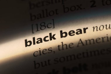 siyah ayı Word'de bir sözlük. siyah ayı kavramı.