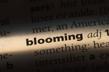 çiçek açan tek kelimeyle bir sözlük. çiçek açan kavramı.