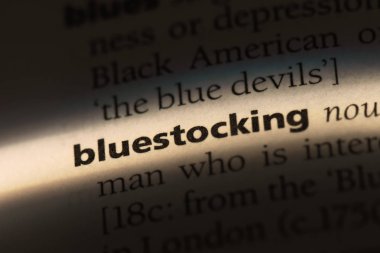 entellektüel kadın Word'de bir sözlük. entellektüel kadın kavramı.