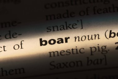 yaban domuzu Word'de bir sözlük. yaban domuzu kavramı.