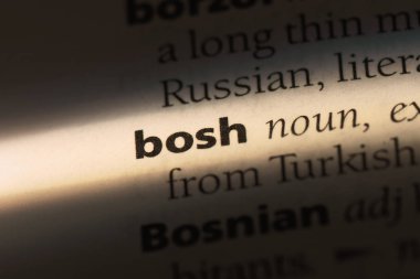 Bosh Word'de bir sözlük. Bosh kavramı.