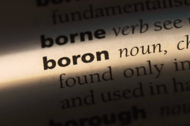 Bor Word'de bir sözlük. Bor kavramı.