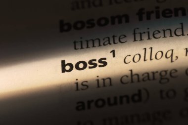 bir sözlüğü'ndeki patron sözcüğü. Patron kavramı.