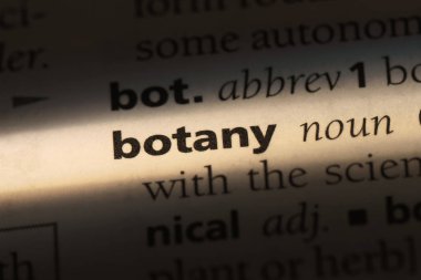 Botanik Word'de bir sözlük. Botanik kavramı.
