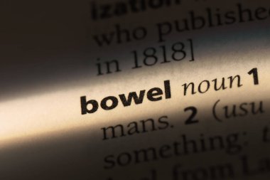 Sözlükte bağırsak kelimesi. bağırsak konsepti.