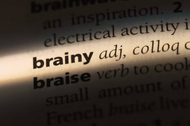 zeki kelime sözlüğe. zeki kavramı.