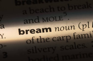 bir sözlüğü'ndeki sözcüğü çipura. Çipura kavramı.