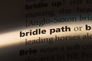 dizgin yol Word'de bir sözlük. dizgin yol kavramı.