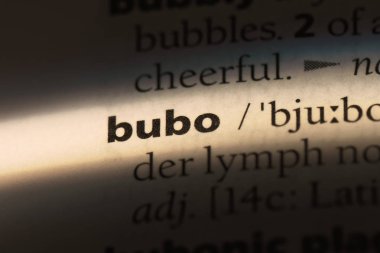 Bubo Word'de bir sözlük. Bubo kavramı.