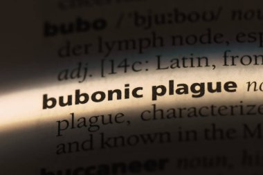 hıyarcıklı veba Sözlükteki kelime. hıyarcıklı veba kavramı.