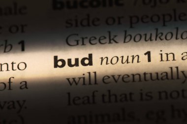 Bud Word'de bir sözlük. kavramı.