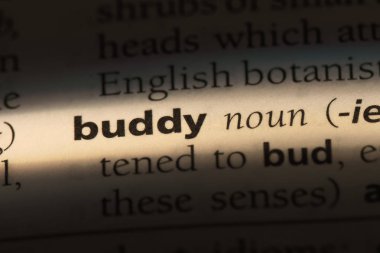 dostum tek kelimeyle bir sözlük. dostum kavramı.