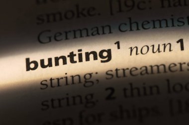 kiraz kuşu Word'de bir sözlük. kiraz kuşu kavramı.