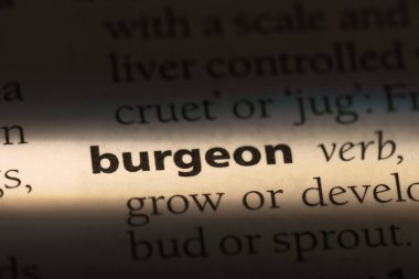 bir sözlüğü'ndeki sözcüğü burgeon. kavram burgeon.