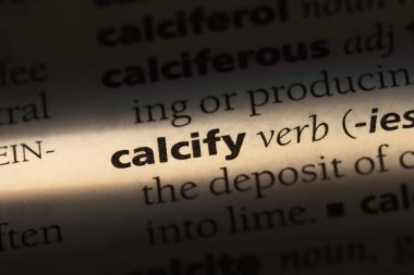 bir sözlüğü'ndeki sözcüğü calcify. kavram calcify.