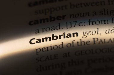 Kambriyen tek kelimeyle bir sözlük. Kambriyen kavramı.