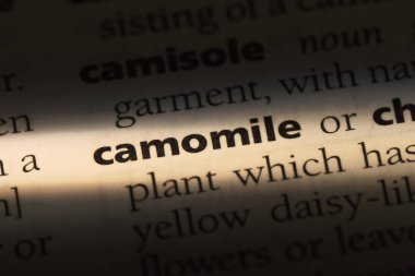 papatya Word'de bir sözlük. papatya kavramı.