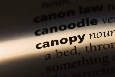 gölgelik Word'de bir sözlük. gölgelik kavramı.