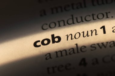 COB Word'de bir sözlük. COB kavramı.