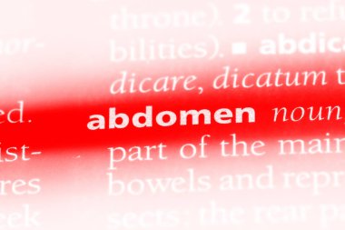 Karın Word'de bir sözlük. Karın kavramı.