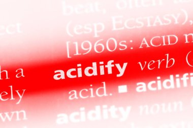 bir sözlüğü'ndeki sözcüğü acidify. kavram acidify.