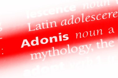 Adonis Word'de bir sözlük. Adonis kavramı.