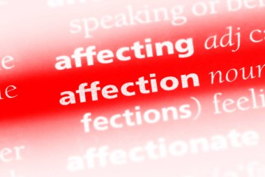 sevgi sözcüğü sözlüğe. sevgi kavramı.