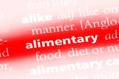 bir sözlüğü'ndeki Sindirimsel sözcüğü. beslenme kavramı.