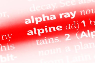 alp tek kelimeyle bir sözlük. alp kavramı.