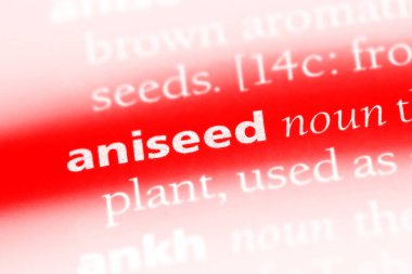 anason Word'de bir sözlük. anason kavramı.