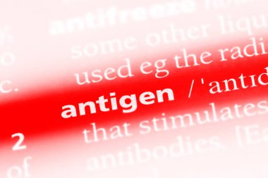 antijen Word'de bir sözlük. antijen kavramı.