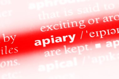 arı kovanı Word'de bir sözlük. arı kovanı kavramı.