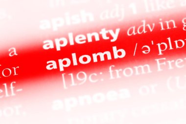 bir sözlüğü'ndeki aplomb sözcüğü. aplomb kavramı.